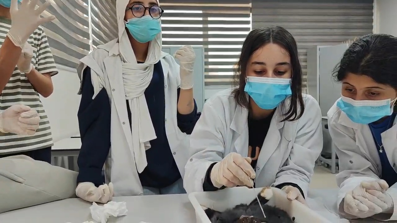 Élèves du collège à Univers des Sciences